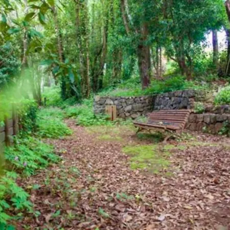 Casa rural Ceiba El Rosario (Tenerife)