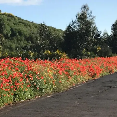 カントリーハウス Ceiba