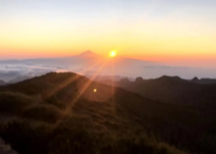 Ceiba Летний дом *