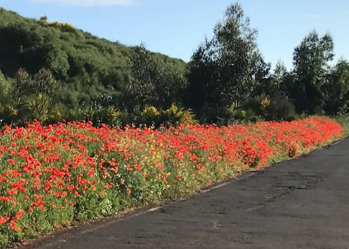 Летний дом Ceiba