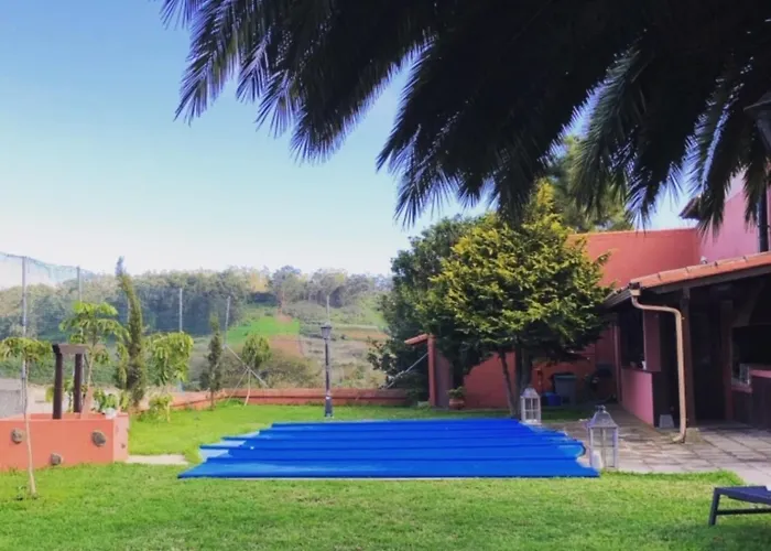 Ceiba Эль-Росарио