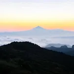 Ceiba * El Rosario (Tenerife)