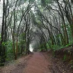 Ceiba * El Rosario (Tenerife)