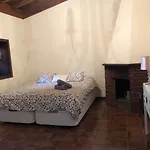 Ceiba * El Rosario (Tenerife)