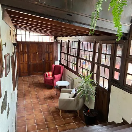 Ceiba * El Rosario (Tenerife)