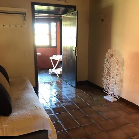 Ceiba El Rosario (Tenerife)