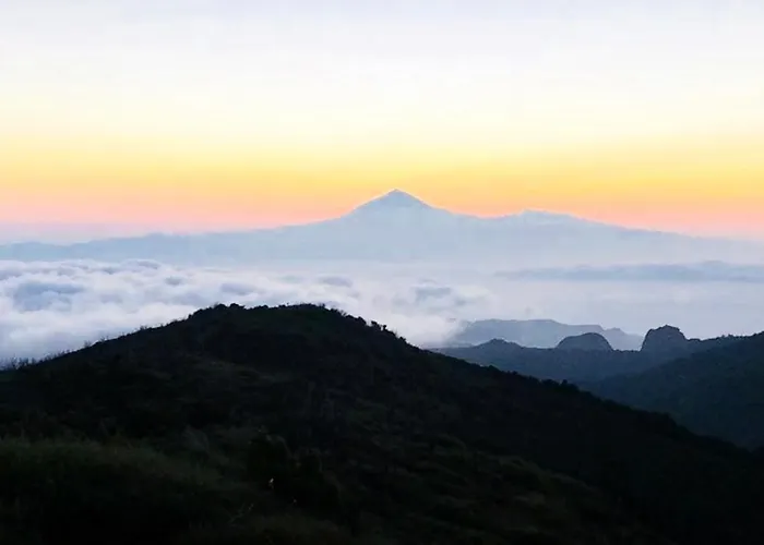 Ceiba * El Rosario (Tenerife)