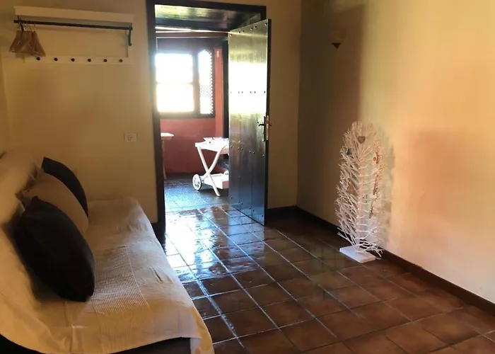 Ceiba El Rosario (Tenerife)