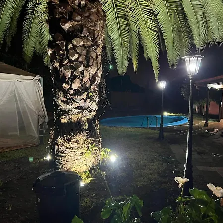 Ceiba *