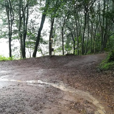 Ceiba