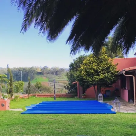 Ceiba El Rosario (Tenerife)