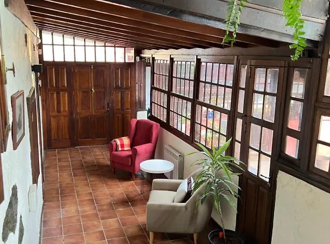 Ceiba * El Rosario (Tenerife)